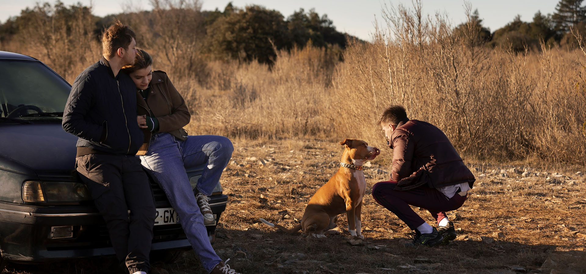 دانلود فیلم Junkyard Dog 2023 سگ های آشغال